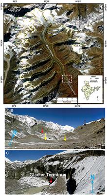 Recession and Morphological Changes of the Debris-Covered Milam Glacier in Gori Ganga Valley, Central Himalaya, India, Derived From Satellite Data